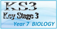 Key Stage 3 Year 7 Biology