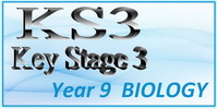 Key Stage 3 Year 9 Biology