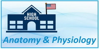 High School Anatomy and Physiology