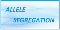 IB Biology SL and HL Topic 3.3 Allele Segregation