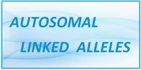 IB Biology SL and HL Topic 3.4 Autosomal Linked Alleles