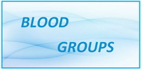 IB Biology SL and HL Topic 3.4 Blood Groups