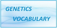 IB Biology SL and HL Topic 3.1 Genetics Vocabulary