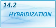 IB Chemistry SL and HL Topic 14.2 Hybridization
