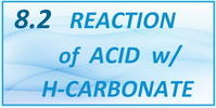 IB Chemistry SL and HL Topic 8.2 Reaction of an Acid with a Hydrogen Carbonate