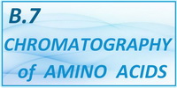 IB Chemistry SL and HL Option B - B.7 Chromatography of Amino Acids
