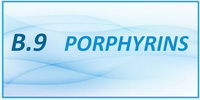 IB Chemistry SL and HL Option B - B.9 Porphyrins