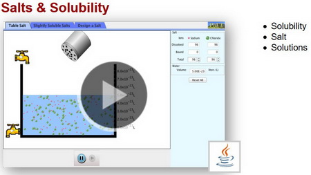 PhET - Salt and Solubility