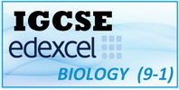 IGCSE Edexcel Biology (9-1)