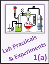 IGCSE Edexcel Chemistry 1a Lab Practicals and Experiments