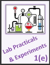 IGCSE Edexcel Chemistry 1e Lab Practicals and Experiments