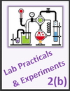 IGCSE Edexcel Chemistry 2b Lab Practicals and Experiments