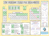 Periodic Table for Biology