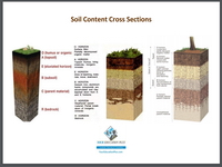 Soil Content Cross Sections